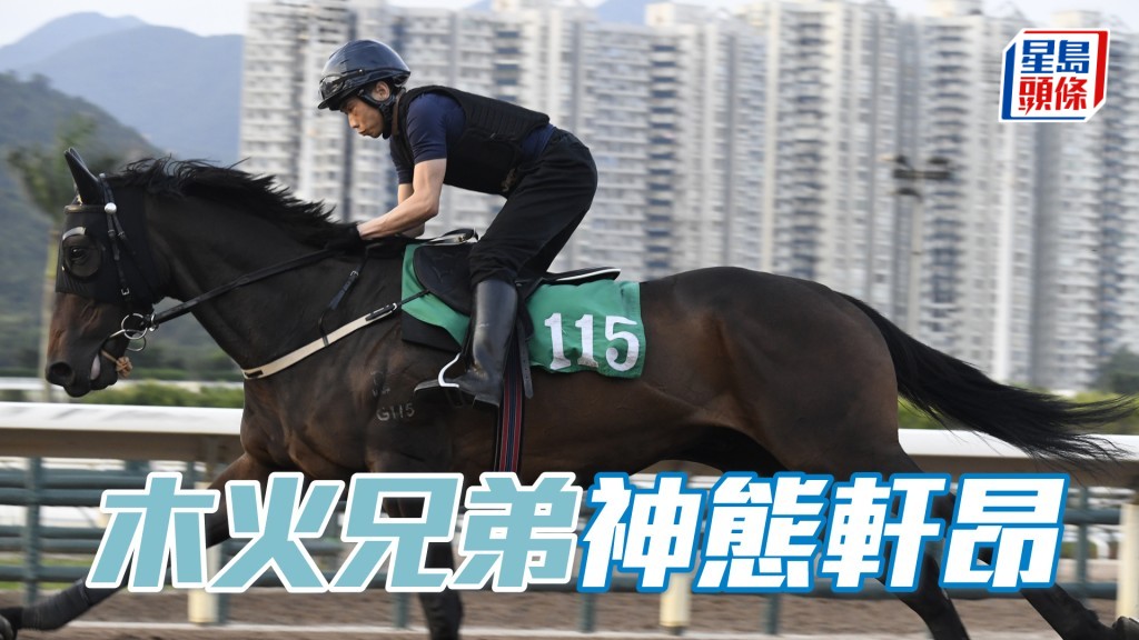 「木火兄弟」马身收得结实神态轩昂，打仔马长期见好。