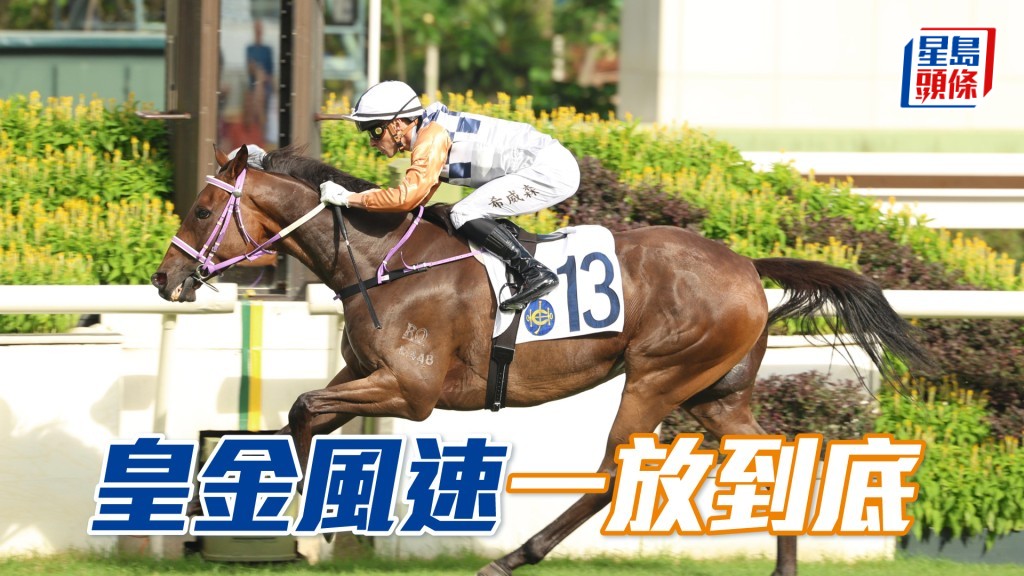 「皇金風速」一放到底