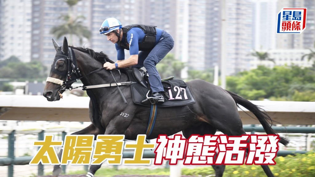 「太陽勇士」火力未減馬身仍壯，正值勇境體力好。