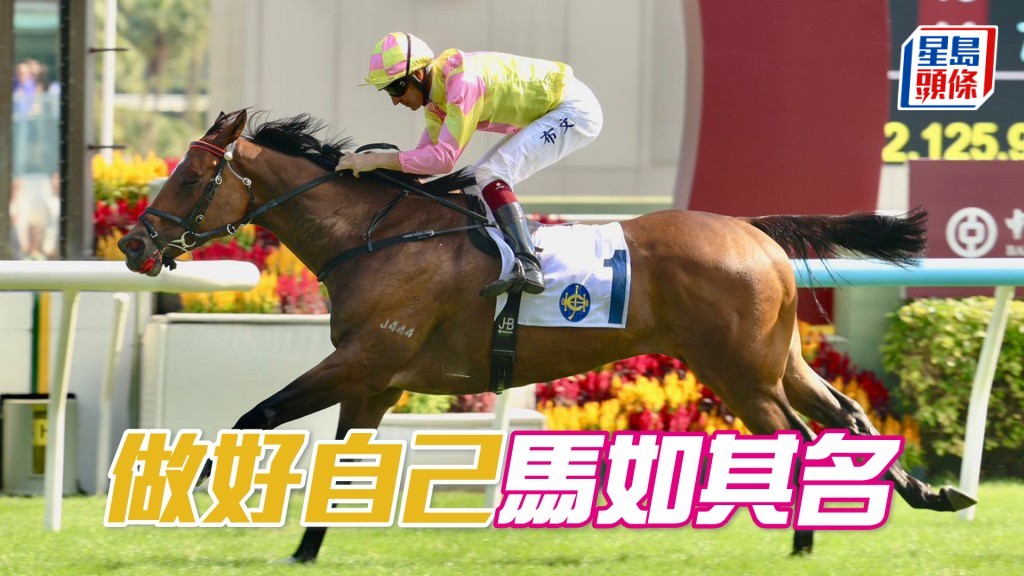 「做好自己」七戰千四米獲兩冠一亞三季一第五，路程專家堪信賴。