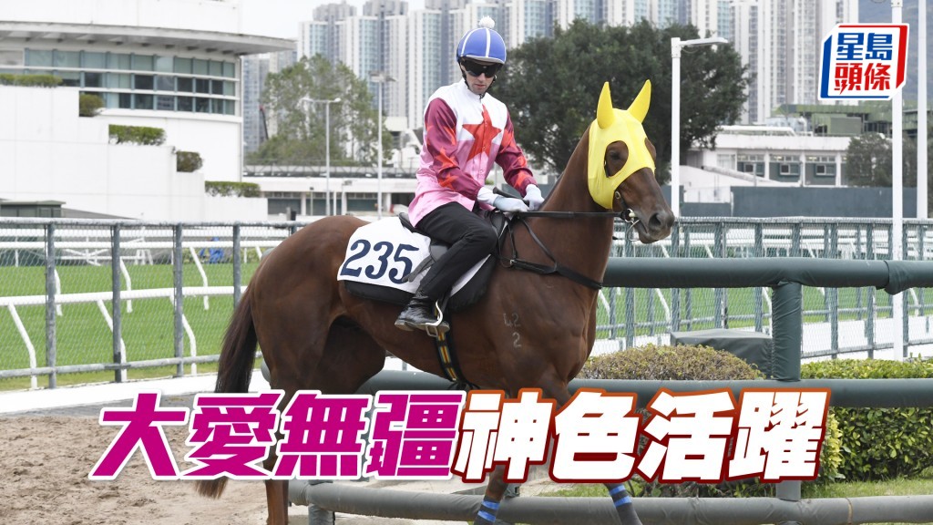 「大爱无疆」马身好靓好壮，极之吸引。