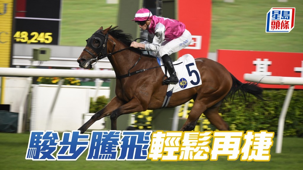 「駿步騰飛」輕鬆再捷