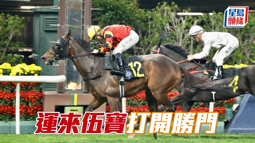 「運來伍寶」打開勝門