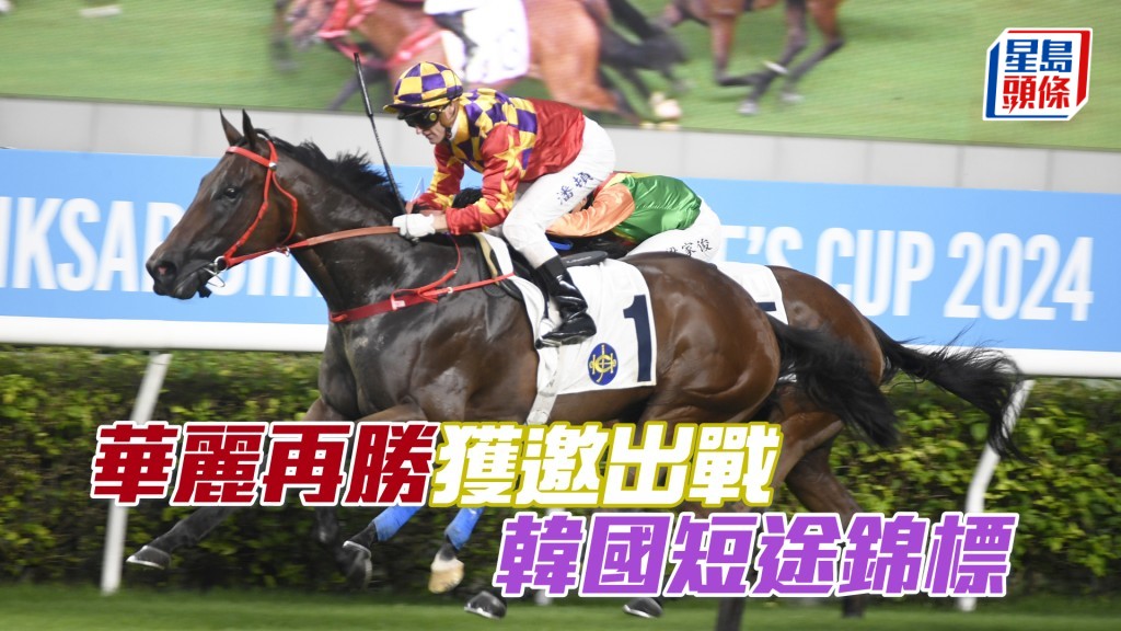 「華麗再勝」九月六日將出戰韓國短途錦標。