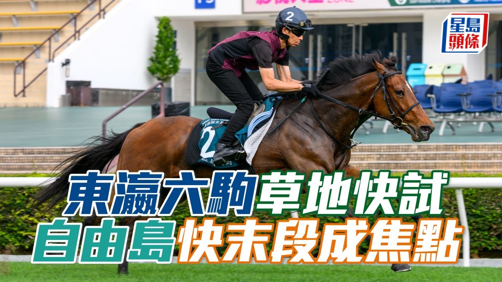 東瀛六駒今晨草地快試,「自由島」(圖) 快末段成焦點。