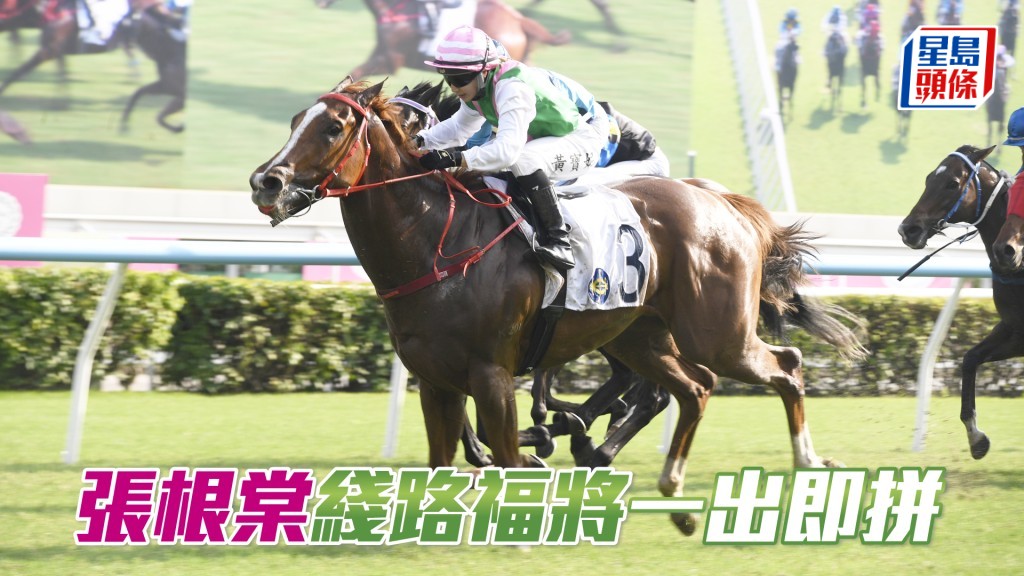 同主馬「綫路滿貫」今季一出即勝。