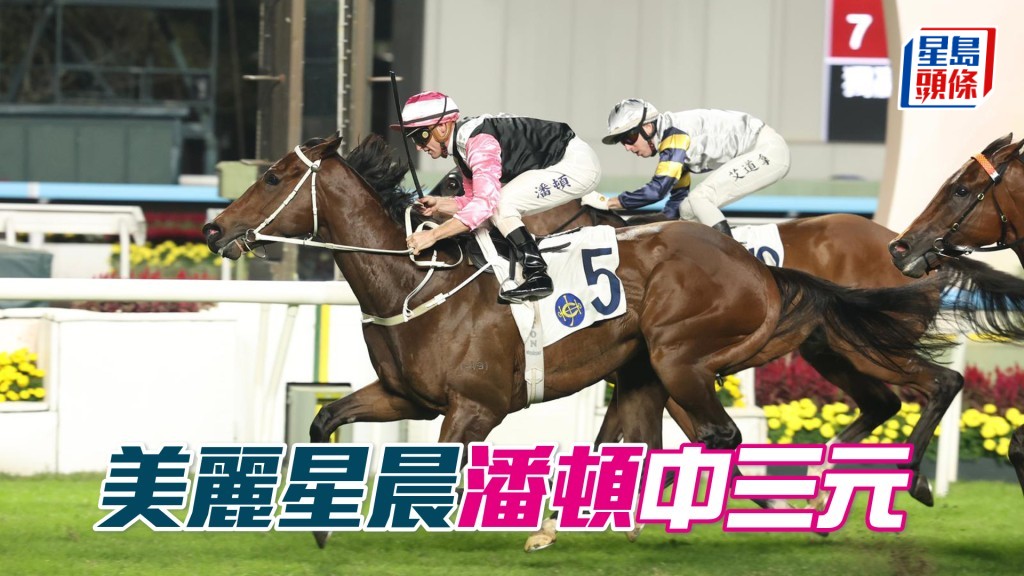 「美麗星晨」潘頓中三元
