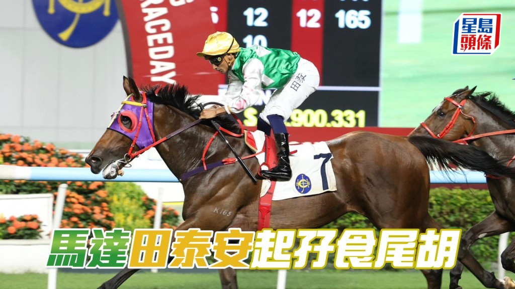 「马达」田泰安起孖食尾胡