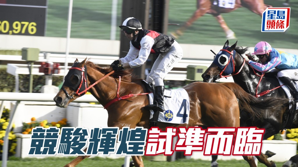 「竞骏辉煌」试准而临