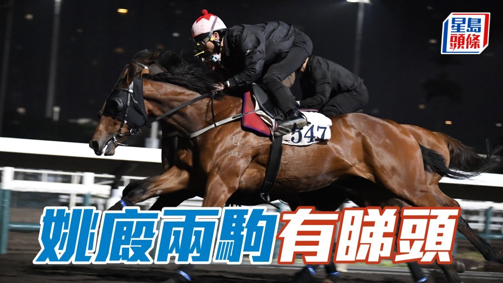 姚厩「捷威」(外)、「日驰千里」，昨朝拍住后备马「自然动力」作此安排，显得非比寻常。除了操练特别，前两匹姚厩马更积极，拍跳时在直路快开并轻轻推骑，有心磨起状态。