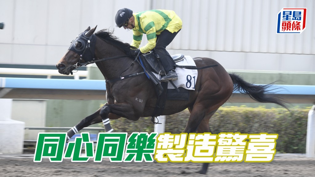 「同心同乐」跑法主动，若能把握起步并轻松领放，有力制造惊喜。