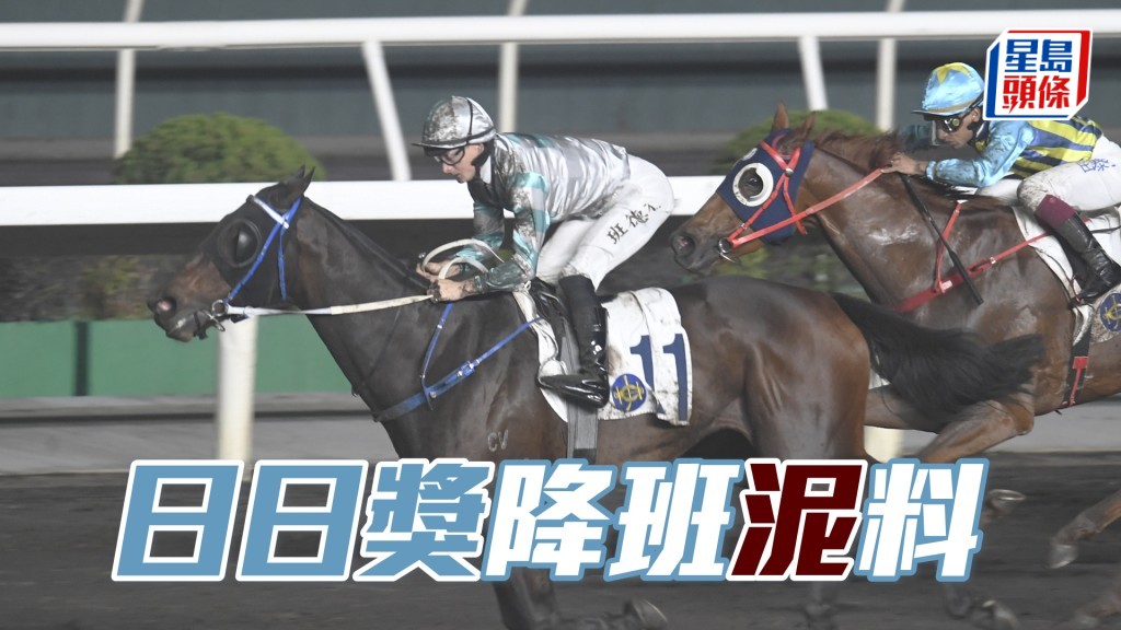 「日日獎」是泥地專才，回降五班兼喜逢一檔，值得多加注意。