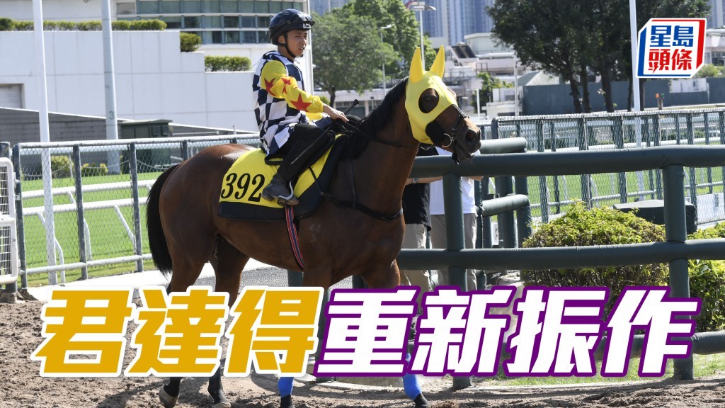 「君達得」助手踱兩圈,大大步走過,步挺爽勁力度不弱,雙目有神,毛色復現光澤,重新振作有好感。