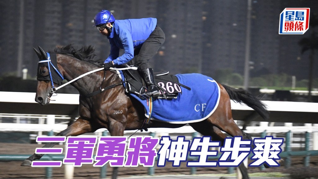 「三軍勇將」雙耳烔烔目光銳利，持續勇銳好吸引。