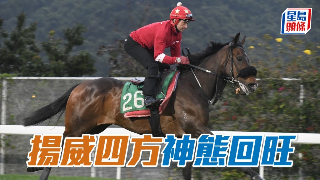 「揚威四方」步姿爽朗彈力亦足，神態回旺呈現朝氣。