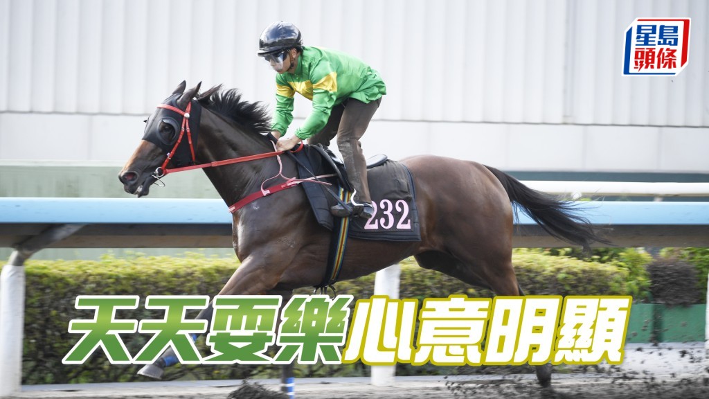 「天天耍樂」出王牌重配潘頓兼回師勝途，搏殺意欲明顯。