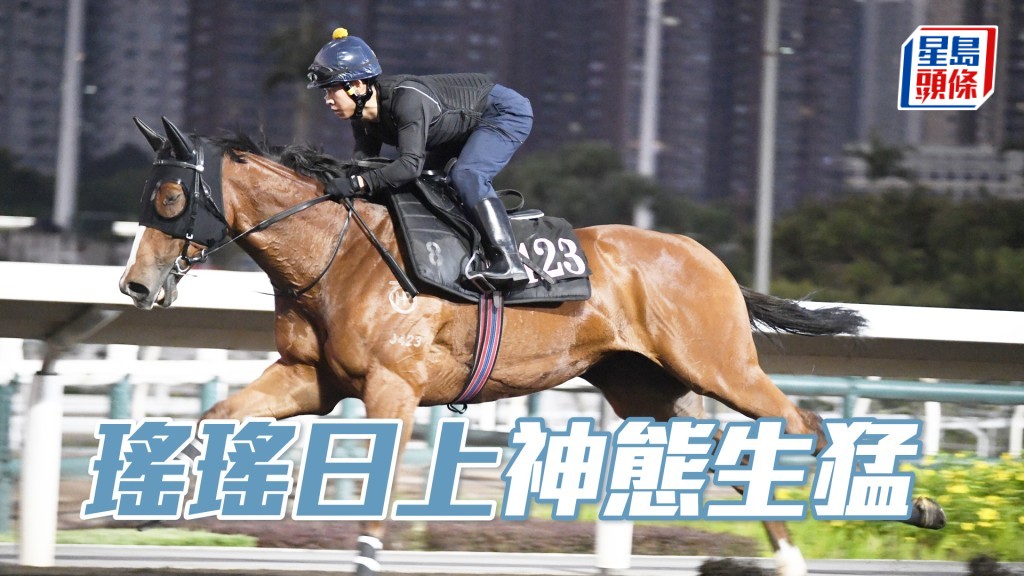 「瑤瑤日上」火力俱佳弗到漏油。