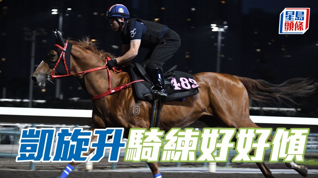  「凱旋升」出跳既神閒氣定並肯轉腳，當耙地時段，潘頓更約定羅富全在機坪空地傾談。