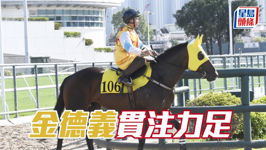 「金德義」馬身實淨毛色悅目，勇態冒升。