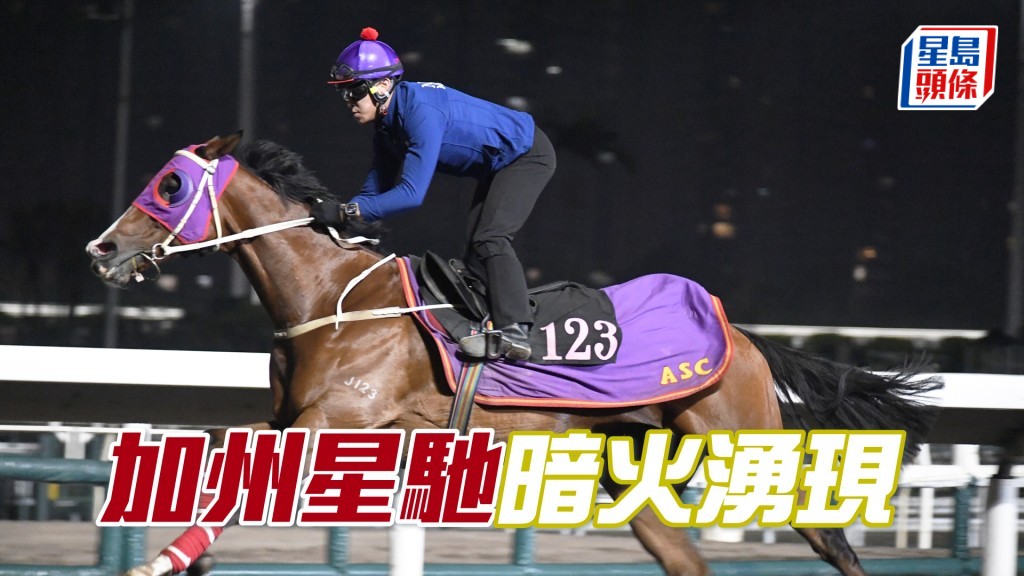 「加州星馳」要緊扣韁繩，身靚色潤觀感極佳。