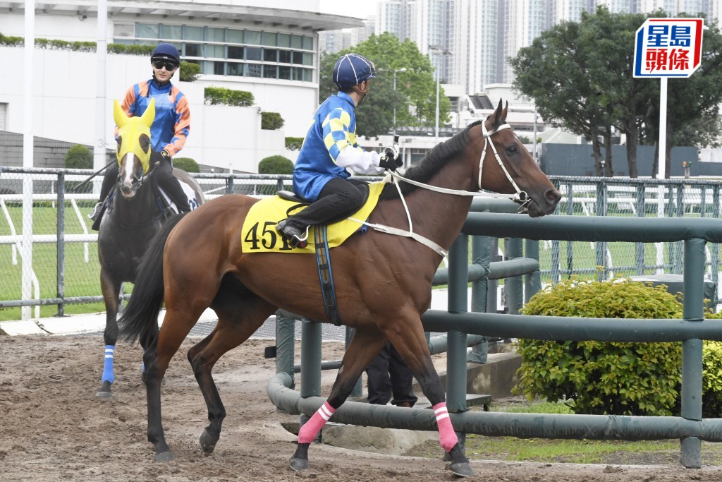「手機錶勁」過步輕爽力度亦夠，早熟醒神。
