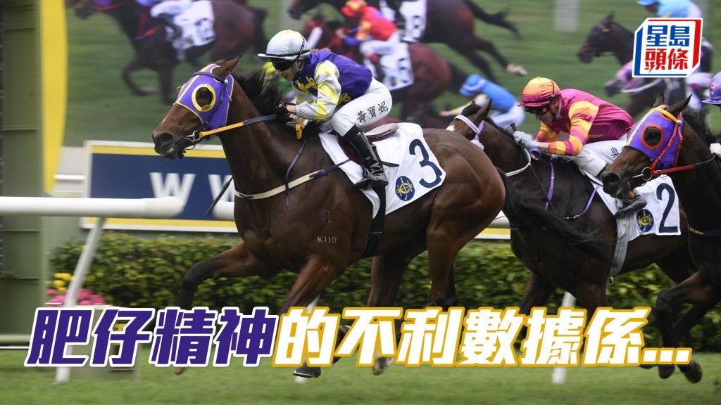 第五場「肥仔精神」(圖) 上仗贏馬後，今仗升班轉跑谷草，原來有一項不利數據。