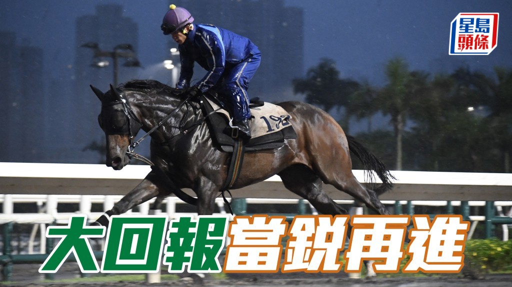 晨光追擊│ 「大回報」當銳再進
