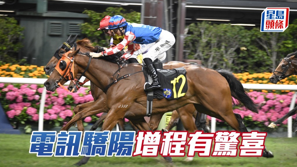 「電訊驕陽」評38分有着數，今次增程至谷草1650米，隨時有驚喜。