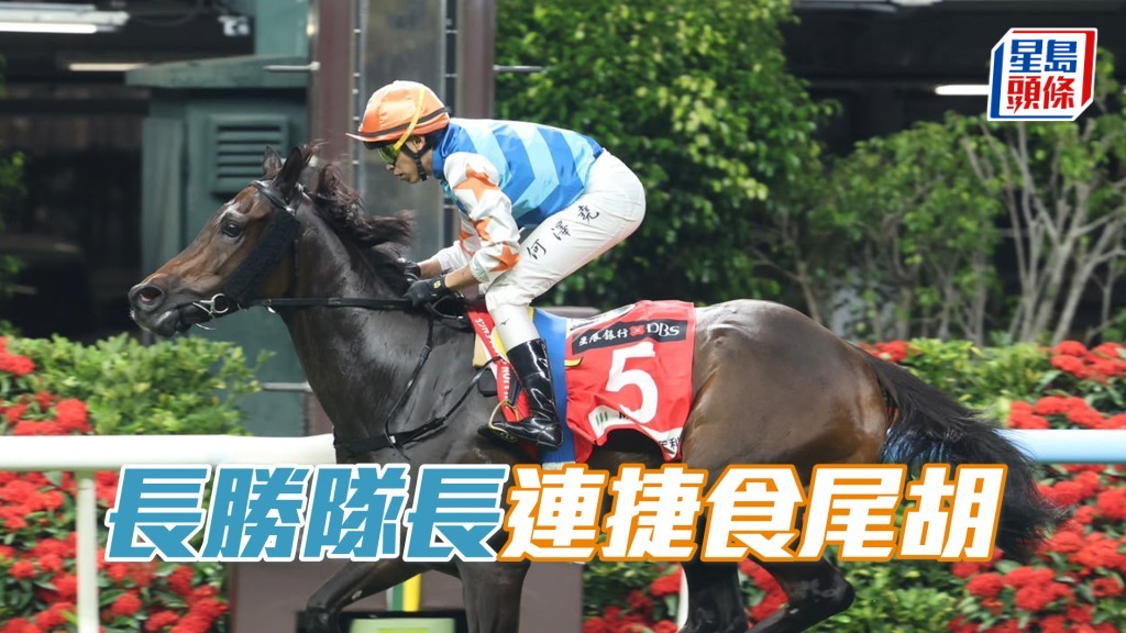「长胜队长」连捷食尾胡