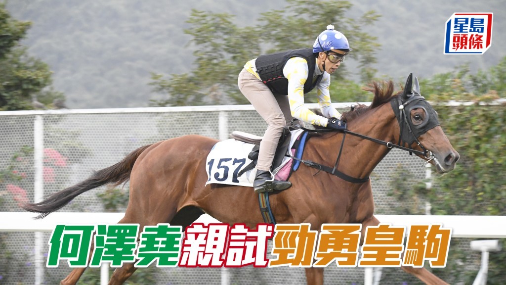 何泽尧今朝到场只操了一匹「劲勇皇驹」后便走人。