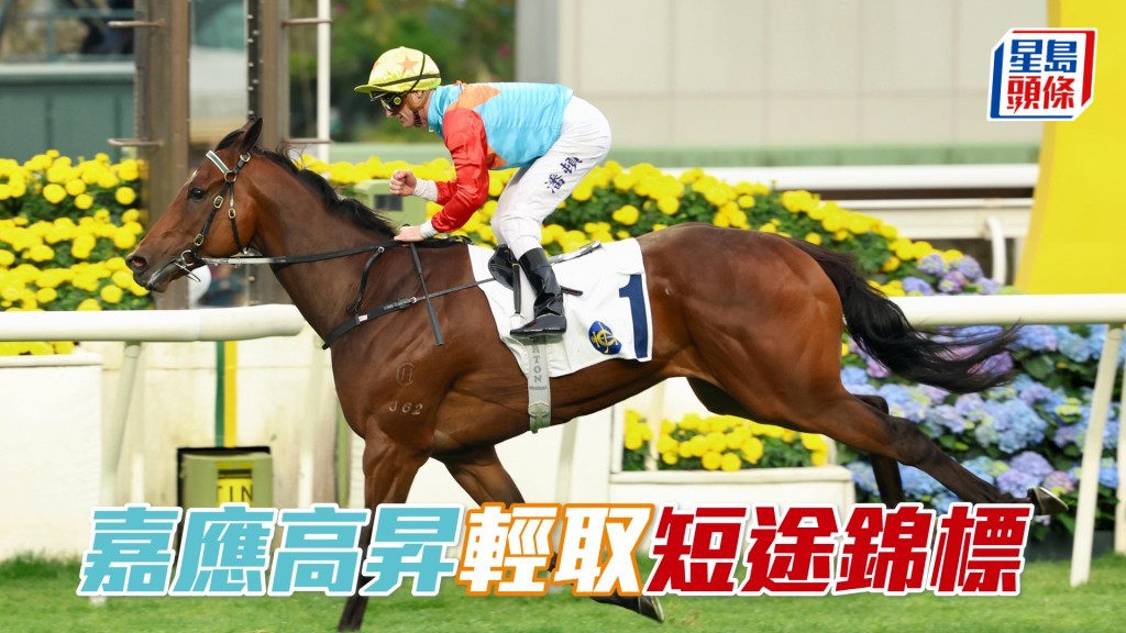 「嘉應高昇」輕取短途錦標