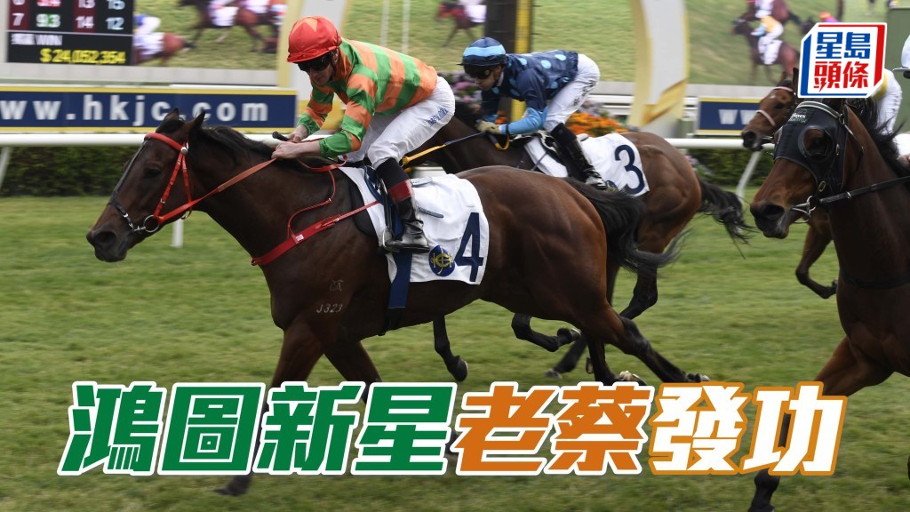 「鴻圖新星」(圖) 表現漸入佳境，今仗排七檔進可攻退可守，有望為蔡廄爭功。