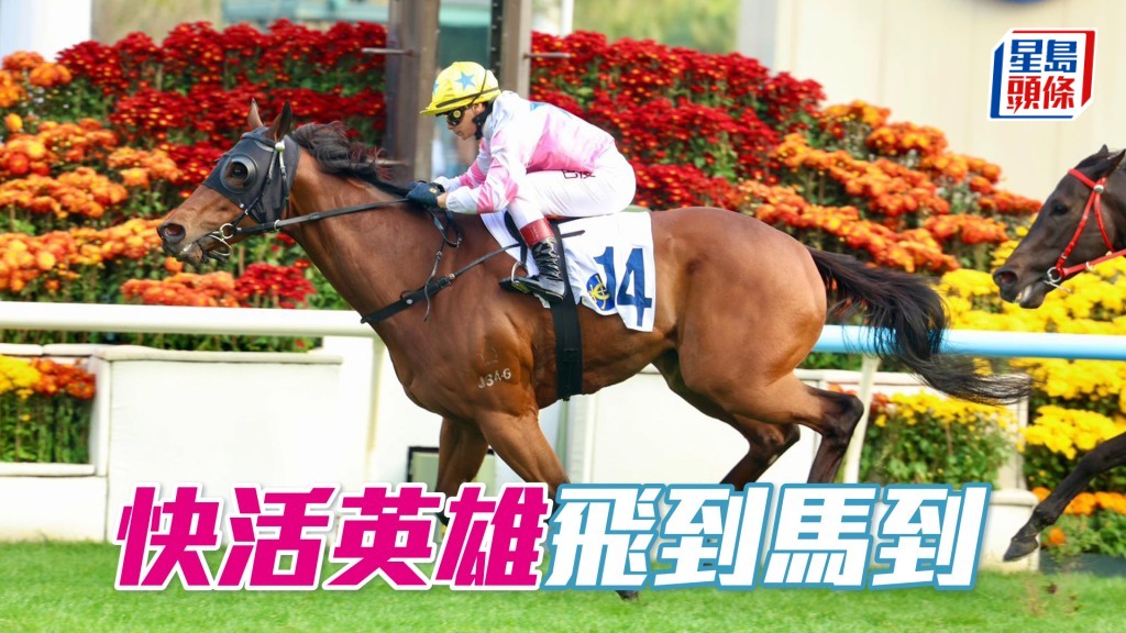 「快活英雄」飞到马到