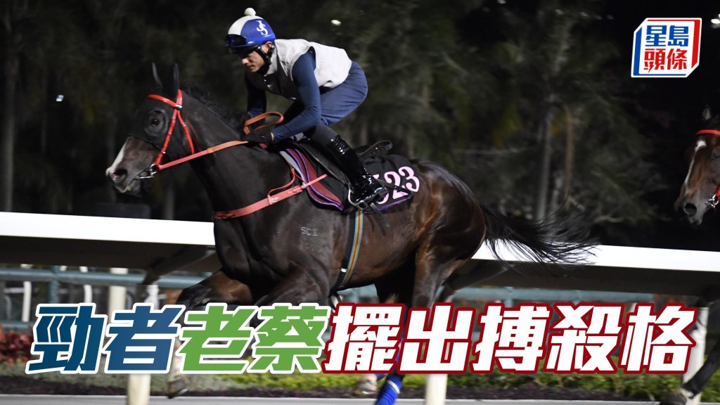 蔡約翰金晴火眼昅實「勁者」(圖),課後又追住馬匹返倉。