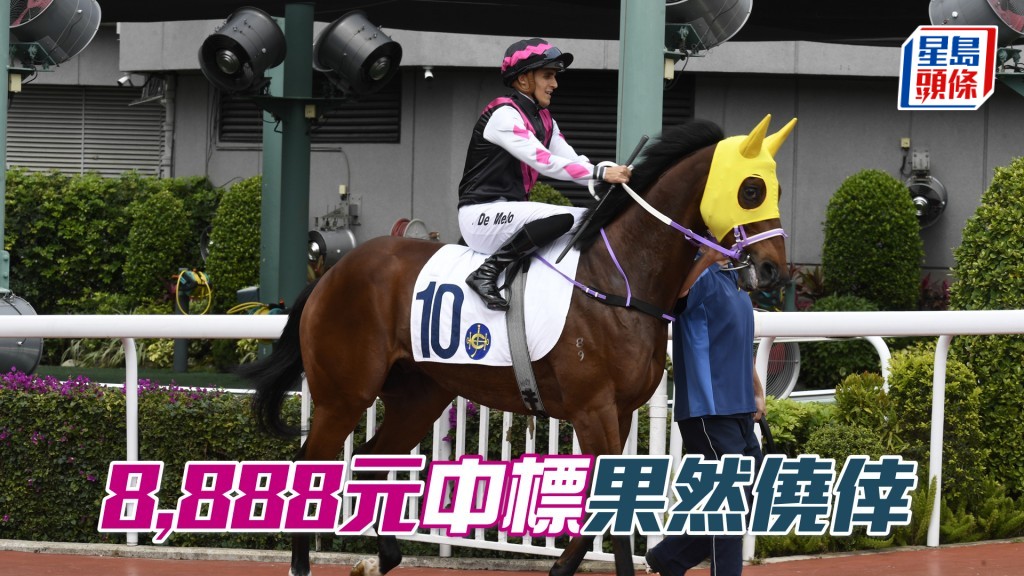 「果然僥倖」今日由馬主冼千人以$8,888港元投得。