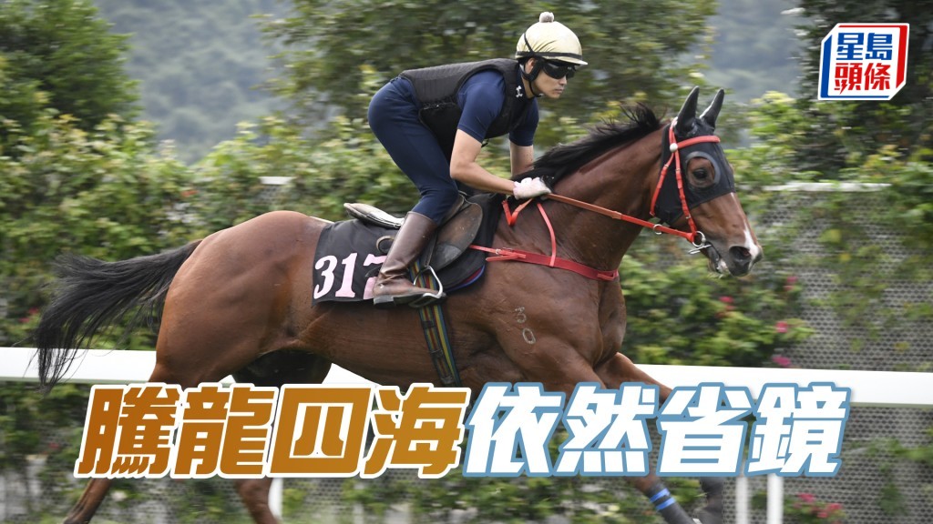 「騰龍四海」神色活躍朝氣勃勃，火力不俗。