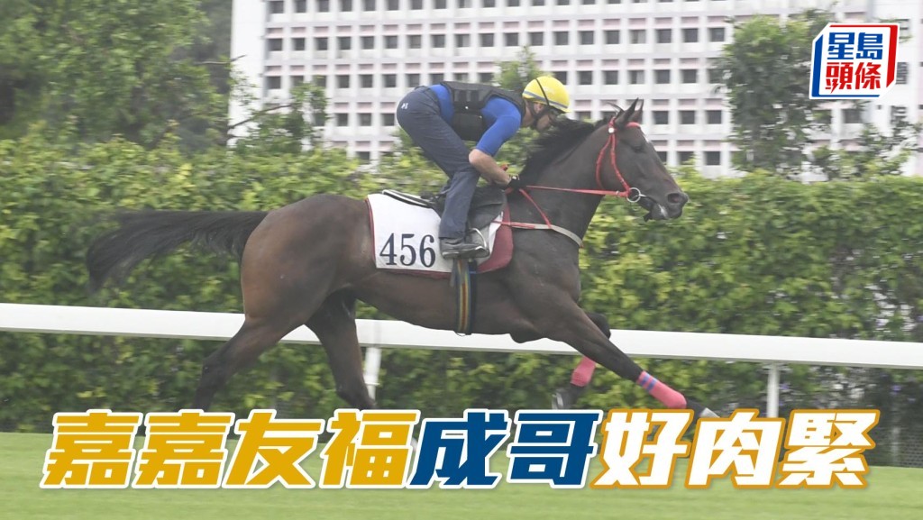 沙田早晨│「嘉嘉友福」成哥好肉紧