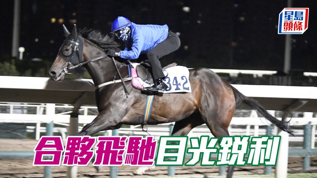 「合伙飞驰」充满活力好生猛，神态回旺弗得及时。