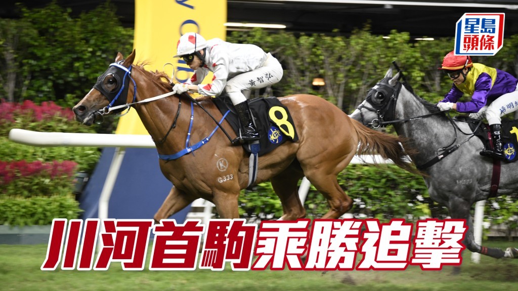 「川河首駒」唔變陣繼續跑最強路程，擺明要乘勝追擊。