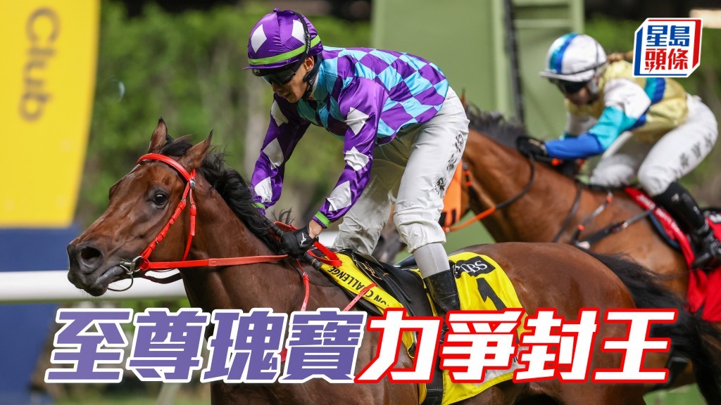 「至尊瑰宝」(图) 今晚力争再取佳绩，于星展与宏利百万挑战杯顺利封王。  