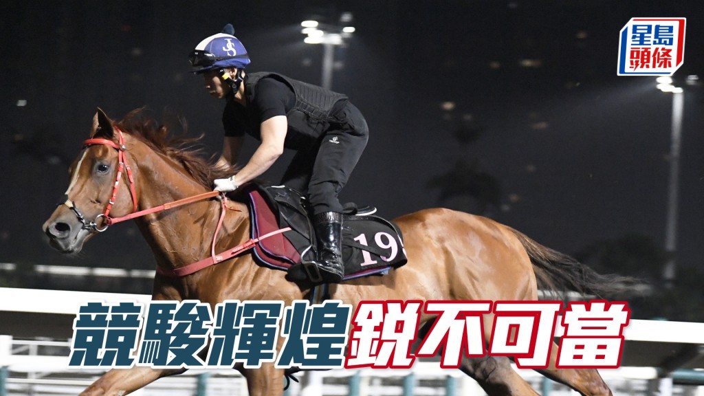 「竞骏辉煌」落脚整齐走势爽朗，新胜犹勇。