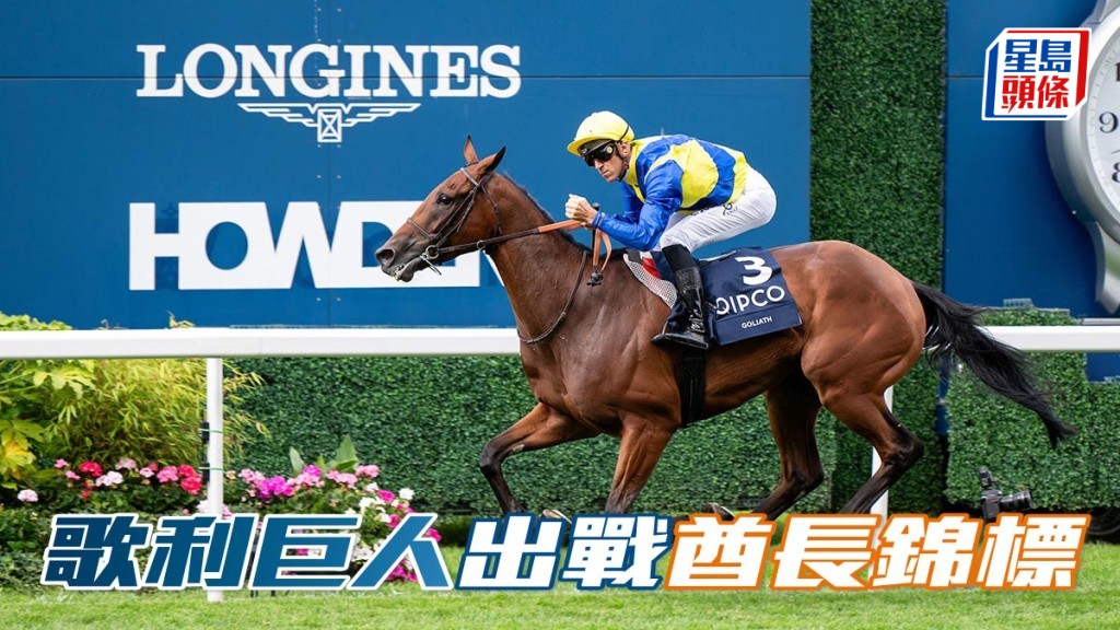 「歌利巨人」將於下月十四日在卡塔爾的雷恩馬場，出戰二千四百米一級賽酋長錦標。