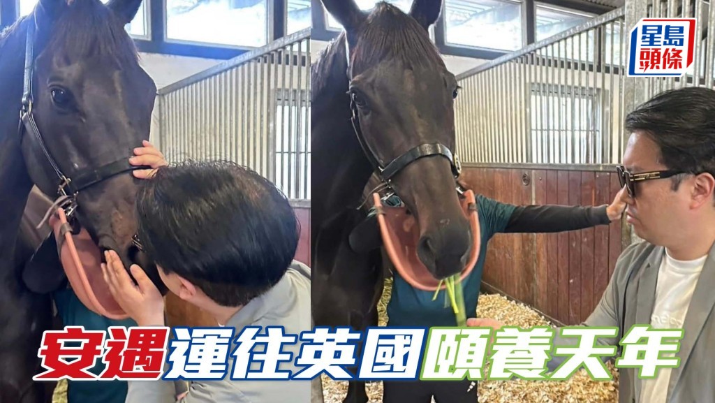 「安遇」運往英國頤養天年 王賢訊祝福「安遇」健康開心地安享晚年。