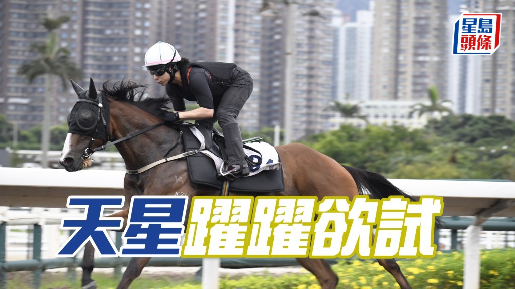 「天星」全程捉到实，神态回旺展现朝气。