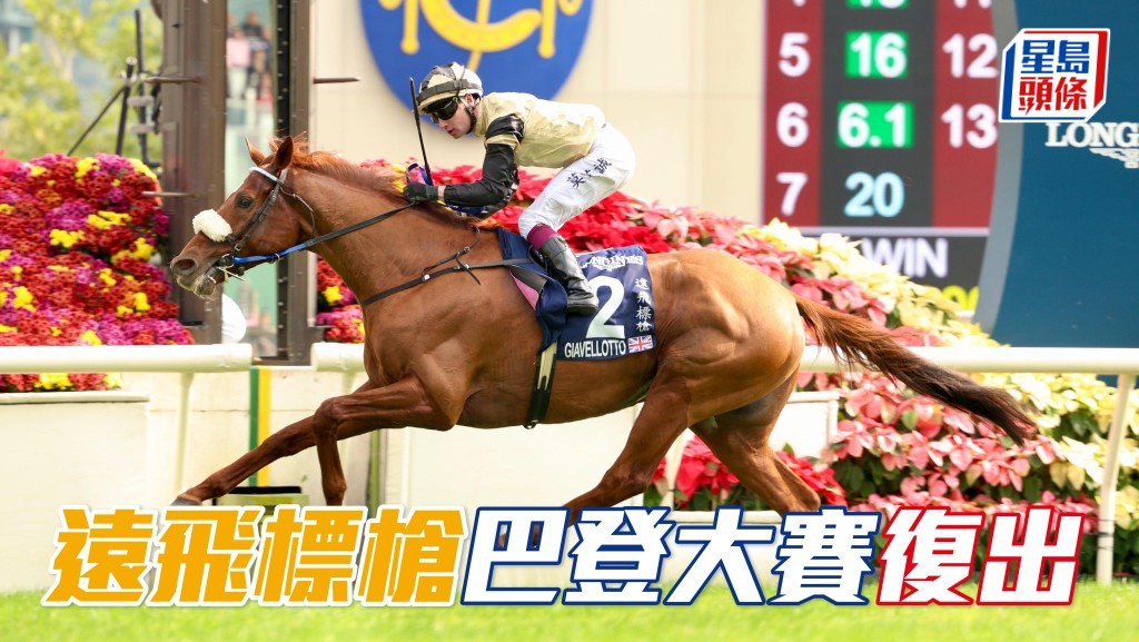 馬場浮世繪｜「遠飛標槍」巴登大賽復出 或年尾再東來