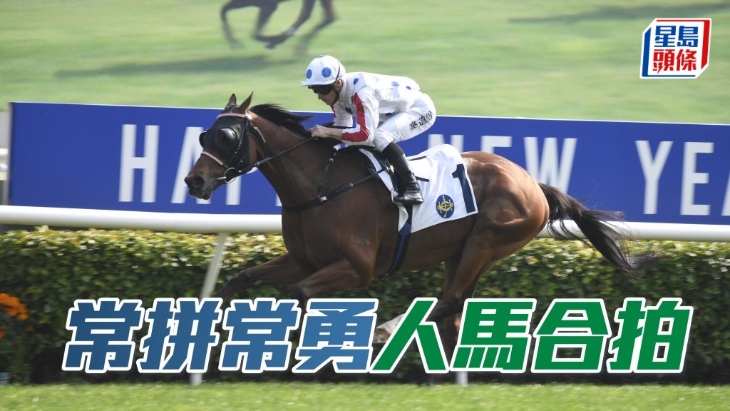 周日出賽的「常拼常勇」今季兩捷表現回勇，定用盡一時。