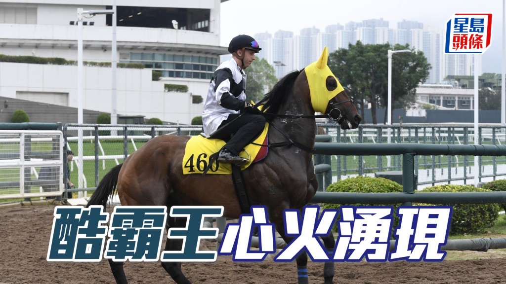 「酷霸王」步勁雙目炯炯有神，今季最弗一次。
