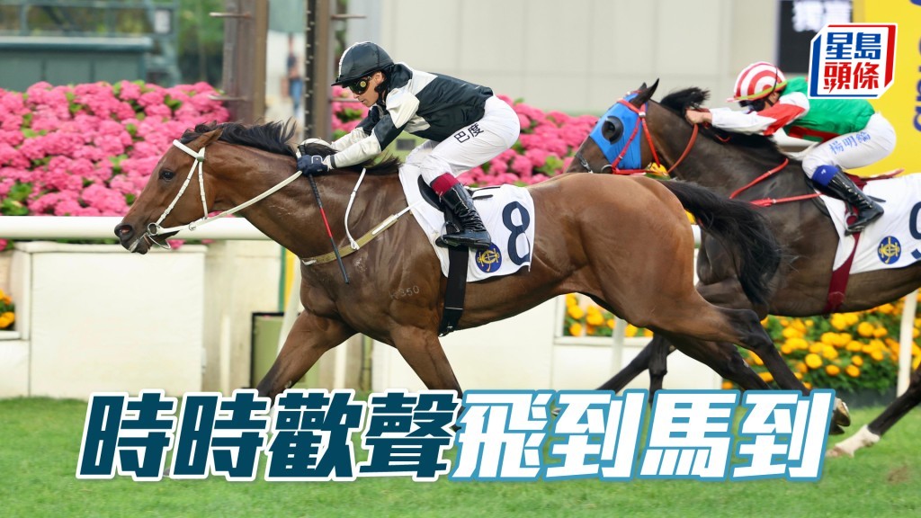 「時時歡聲」飛到馬到