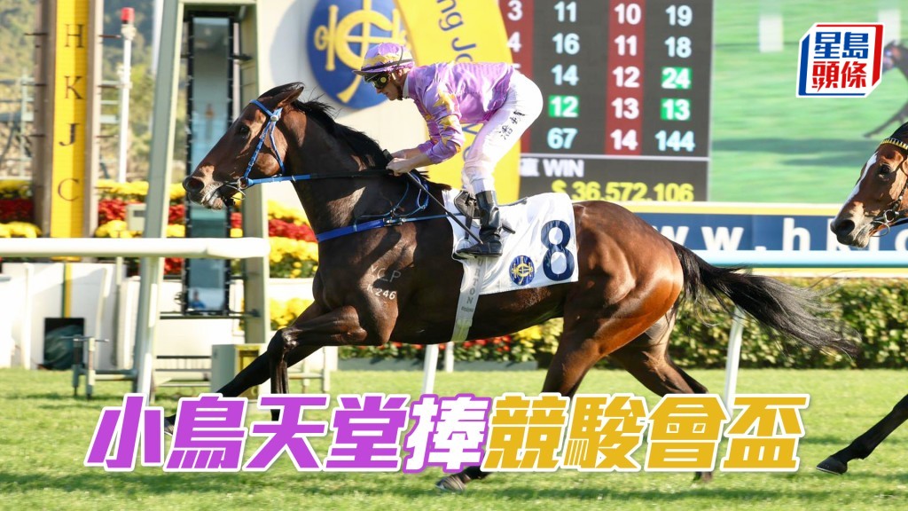 「小鳥天堂」捧競駿會盃