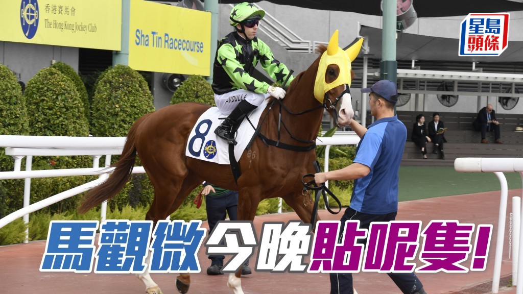 「賢者威楓」出人頭地